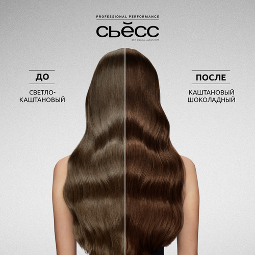 

Краска для волос Сьёсс Permanent Coloration 4-8 Каштановый шоколадный 115 мл