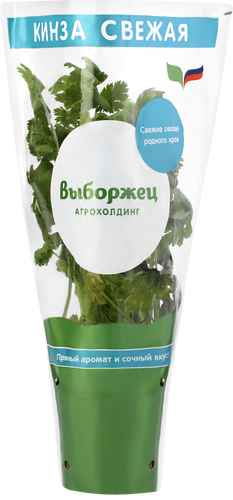 

Кинза (кориандр) в горшочке