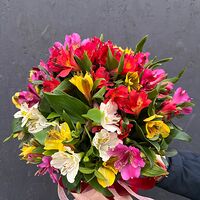 Изображение 2