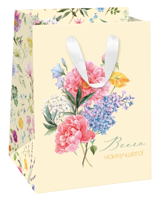 

Пакет подарочный Белый Крафт Field 14х19х11 см, 1 шт. дизайн в ассортименте