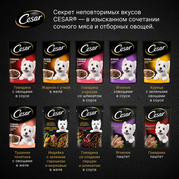 

Влажный корм Cesar для взрослых собак с говядиной и овощами в соусе 85 г