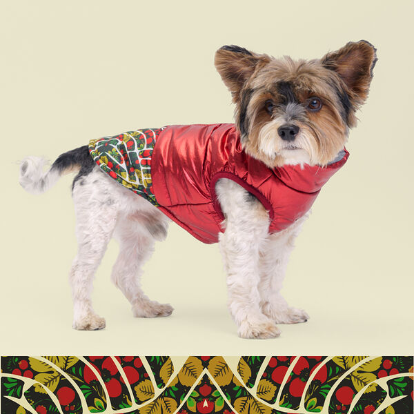 Куртка для собак Petmax на замке красная L