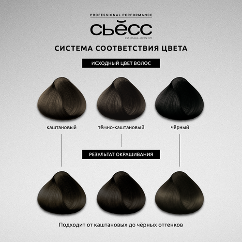 

Крем-краска для волос Сьёсс 3-1 Темно-каштановый 115 мл
