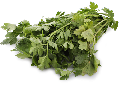 

Петрушка Лента свежая 100 г