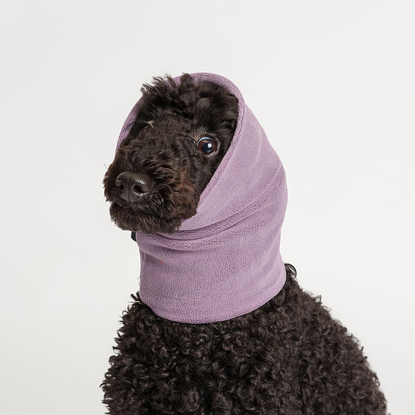 Снуд Rurri для собак S, фиолетовый