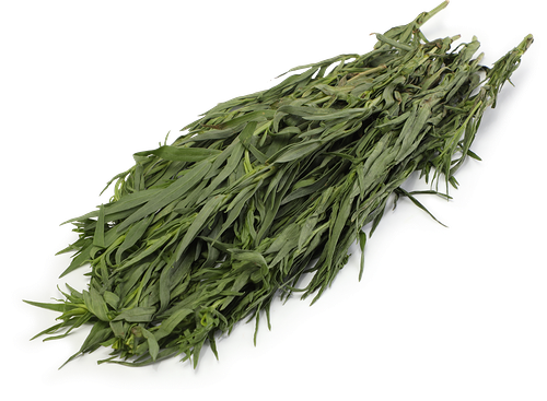 Тархун свежий