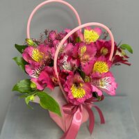 Изображение 3