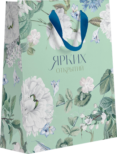 Пакет подарочный Paketiko Blue bird 22.7х18х10 см, дизайн в ассортименте