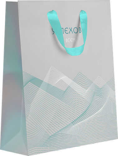 Пакет подарочный Paketiko Arctic 22.7 х 18 х 10 см, дизайн в ассортименте