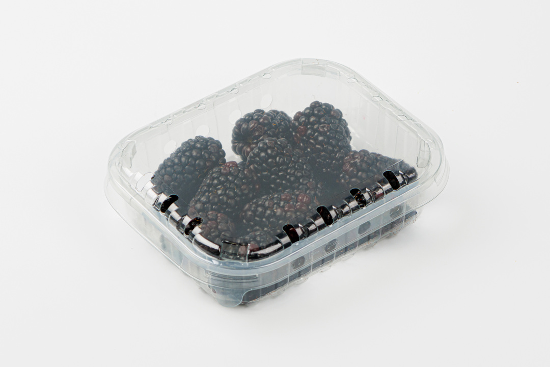 

Ежевика крупная 125 г