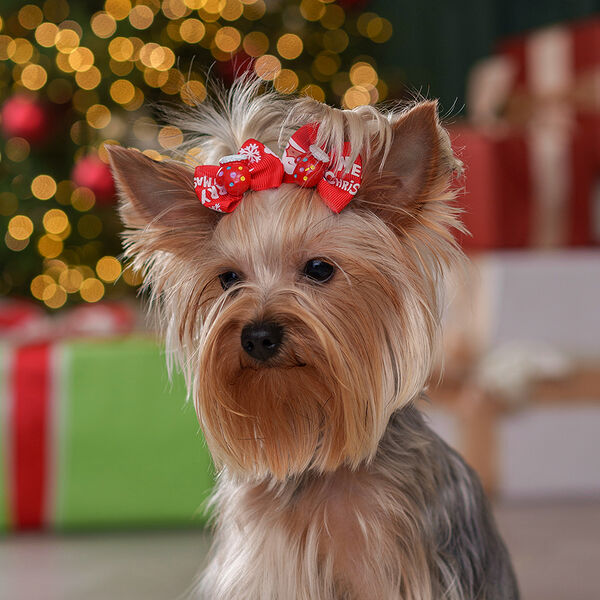 Галстук-бант Petmax новогодний варежка