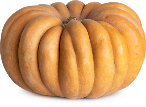 

Тыква Французская весовая