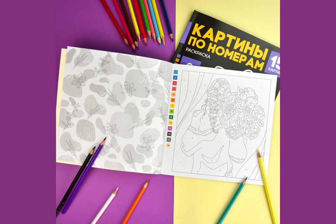 

Раскраска Картины по номерам в ассортименте