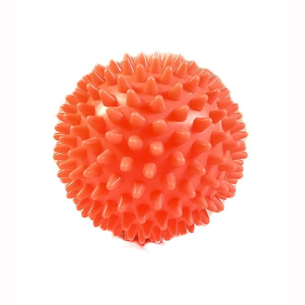 Игрушка для собак Мяч для массажа 9,5 см