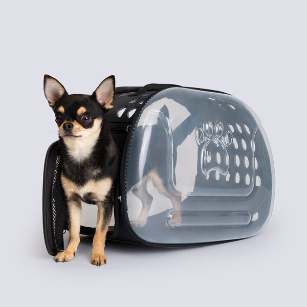 Сумка-переноска Rurri для кошек и собак мелких пород 42х26х35 см