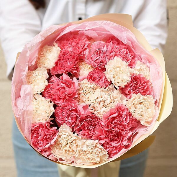 Букет из 25 розовых и кремовых гвоздик в кремовой круглой упаковке