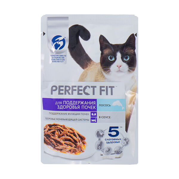 Корм влажный 