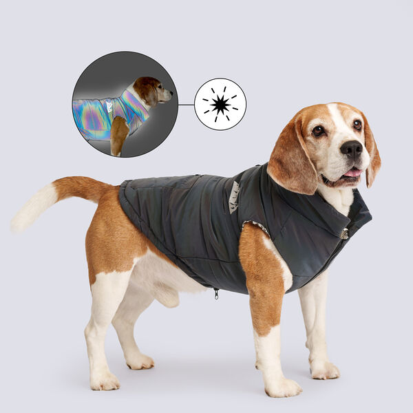 Куртка Petmax серая светоотражающая M