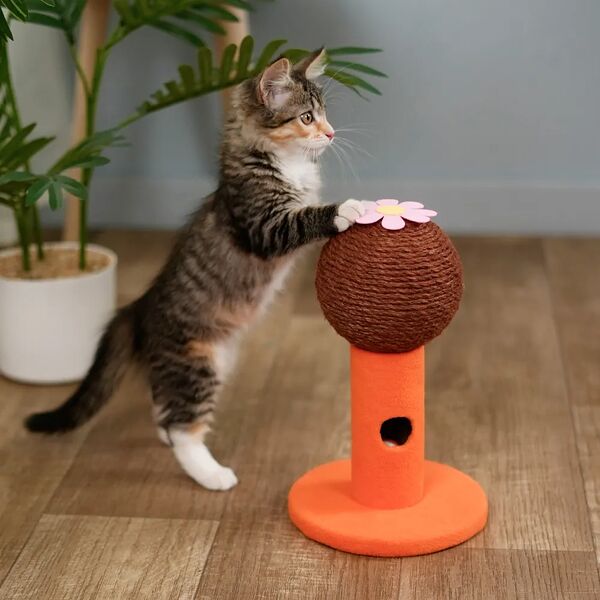 Когтеточка-столбик Цветок 29х18см