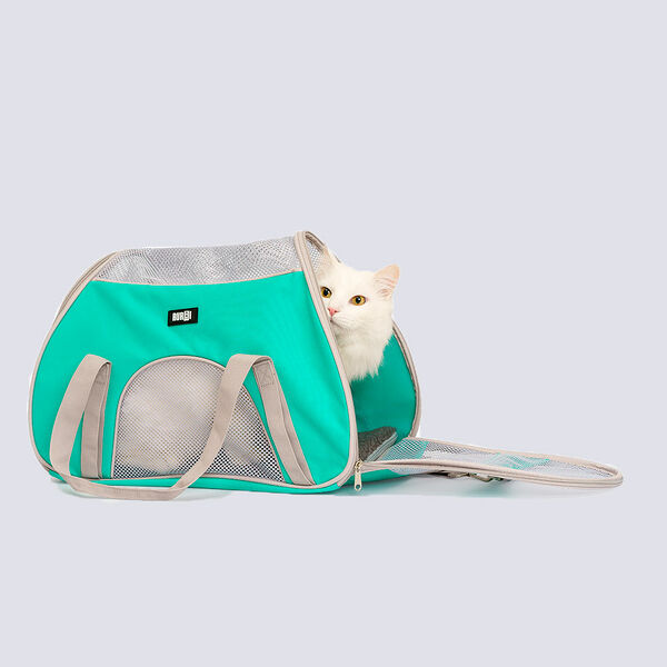 Сумка-переноска Rurri для кошек и собак мелких пород, 50x25x32 см, мятный