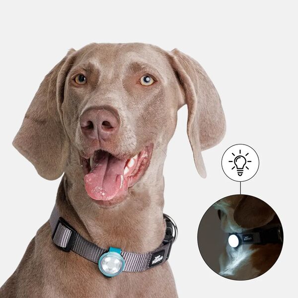 Накладка светящаяся на ошейник для собак зеленая силикон USB 3х8 см