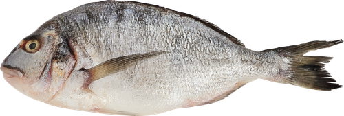 

Дорадо Лента Fresh вес