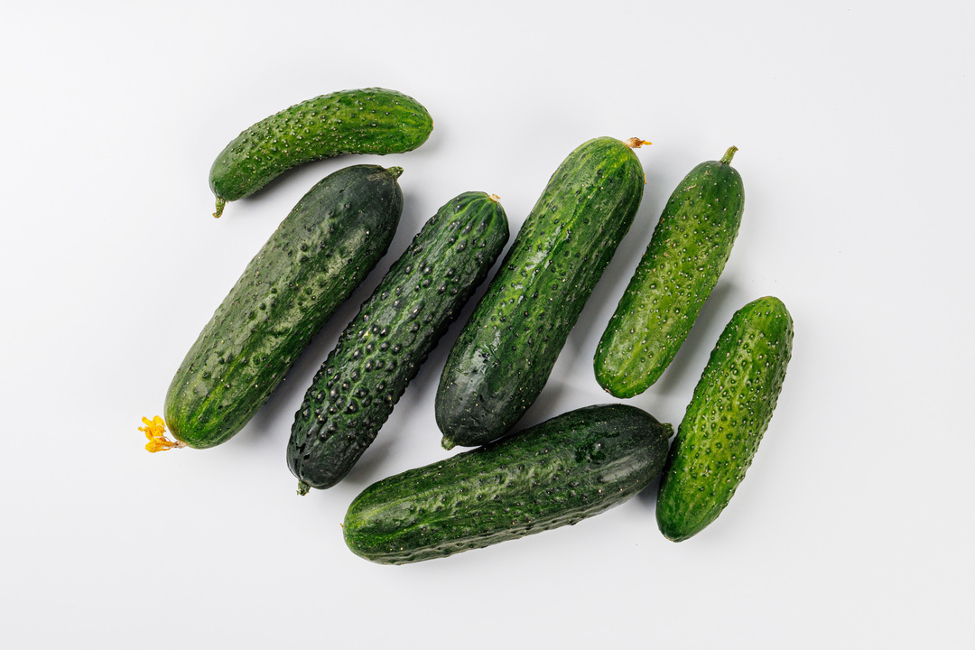 

Огурцы короткоплодные вес