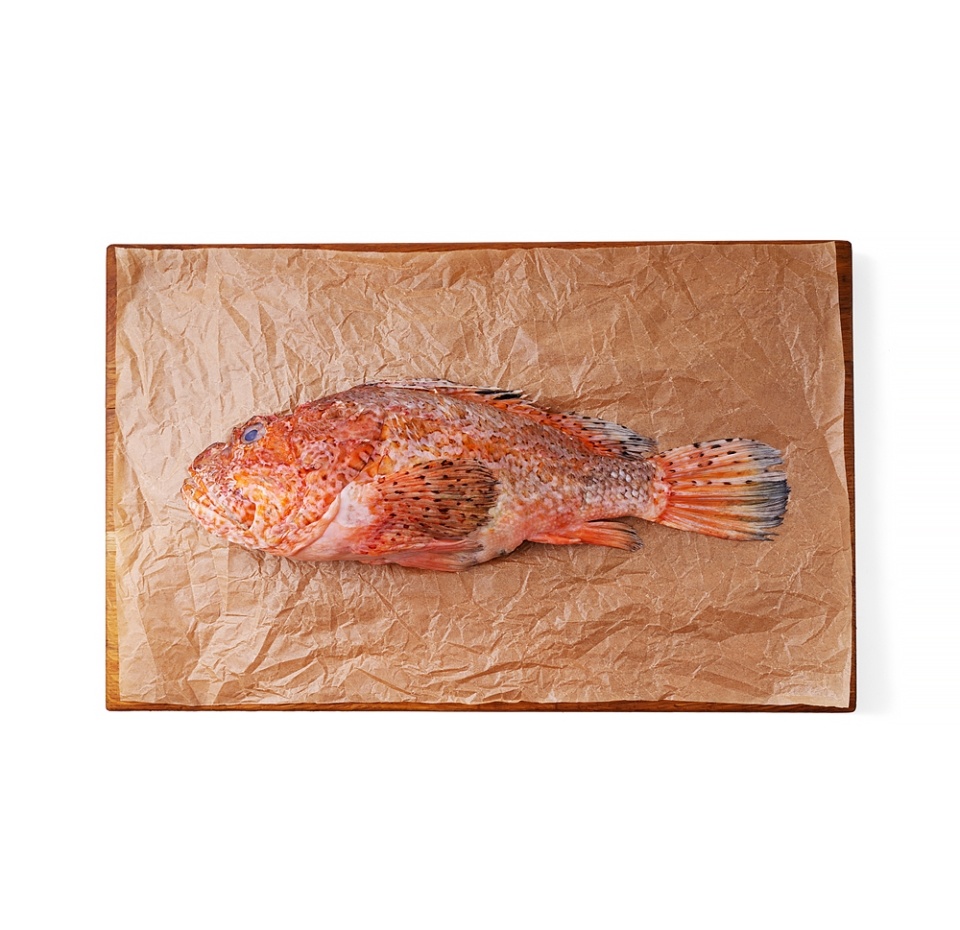 

Скорпена морской ерш Марокко, вес