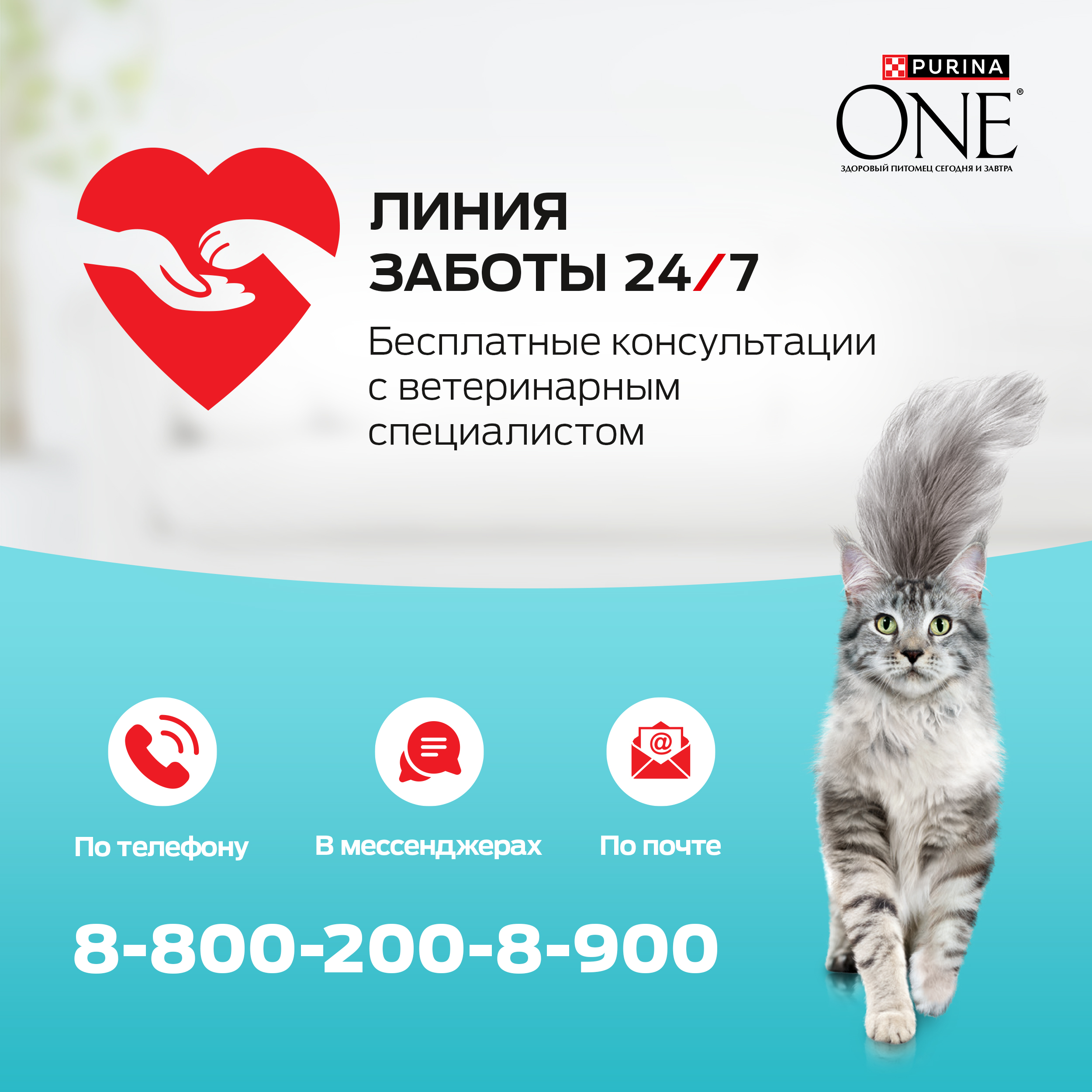 

Сухой корм Purina One полнорационный для кошек с чувствительным пищеварением с высоким содержанием индейки 1,5 кг