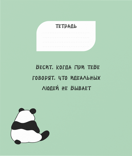 

Тетрадь Dreamfox P NTBS48 в ассортименте 48 листов 1 шт