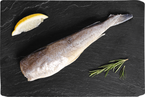 

Навага Лента Fresh потрошеная без головы (из замороженного сырья), весовая