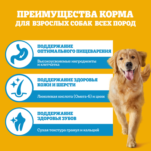 

Сухой корм Pedigree для взрослых собак всех пород с говядиной 2 кг