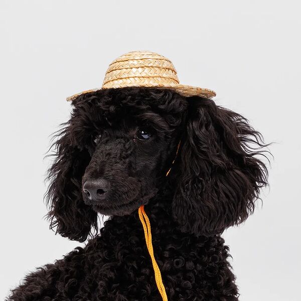 Шляпка соломенная S 13см