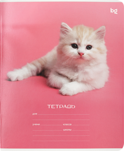 

Тетрадь Биджи 12 л, линия Little animal 1 шт в ассортименте