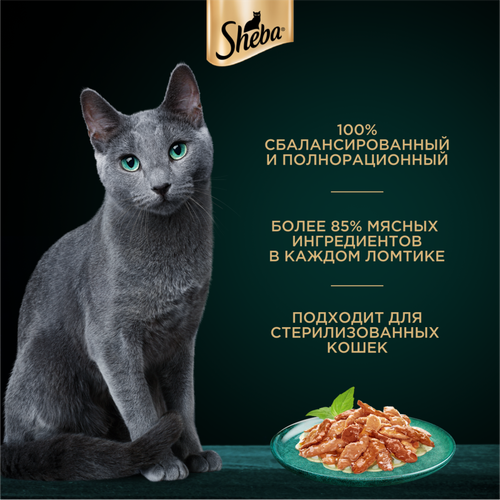 

Влажный корм для кошек Sheba Ломтики в соусе. Курица и Индейка 75 г