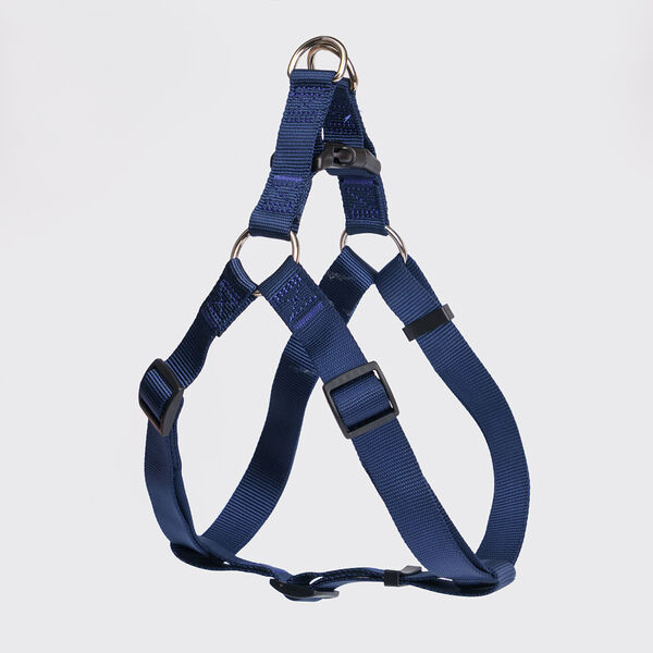 Шлейка Rungo Step-in нейлон, ширина 25 мм, обхват груди 63-94 см, синий