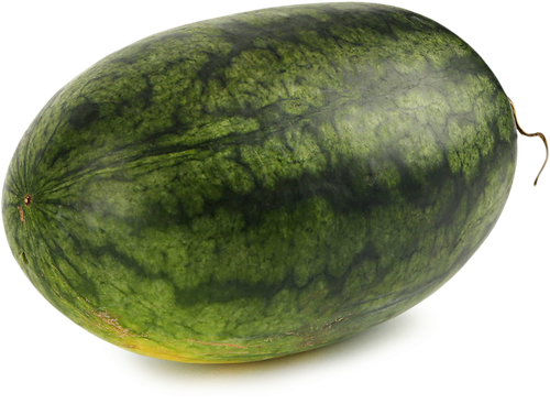 

Арбуз продолговатый вес до 15.0 кг