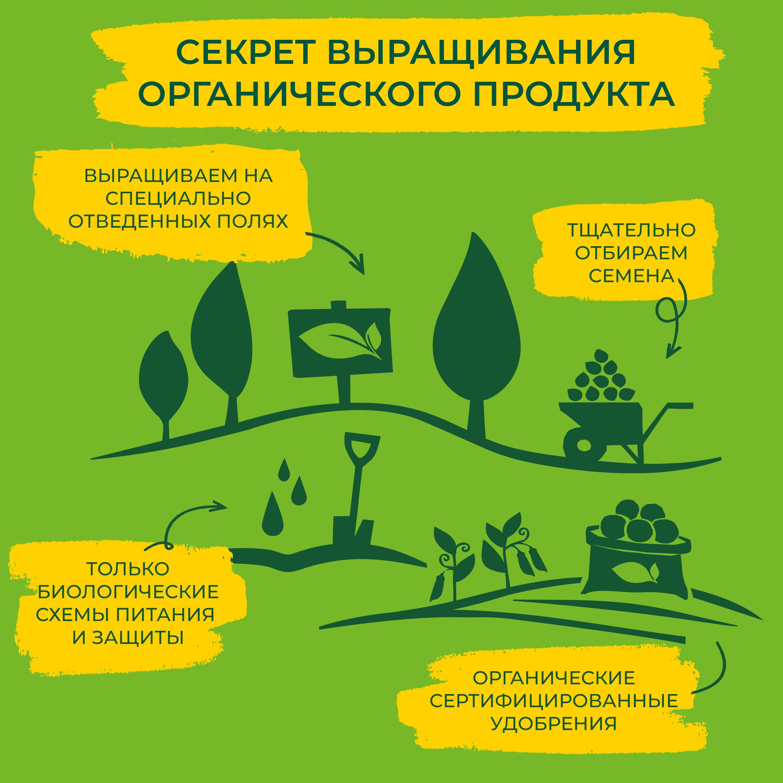 

Горошек консервированный Бондюэль органик 400 г