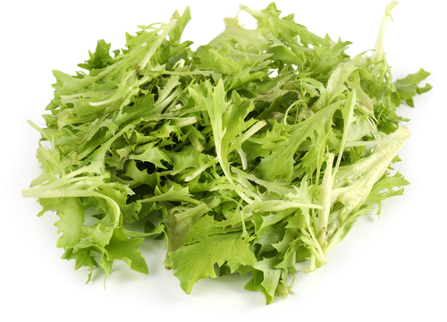 

Салат латук Идеальный зеленый 75 г