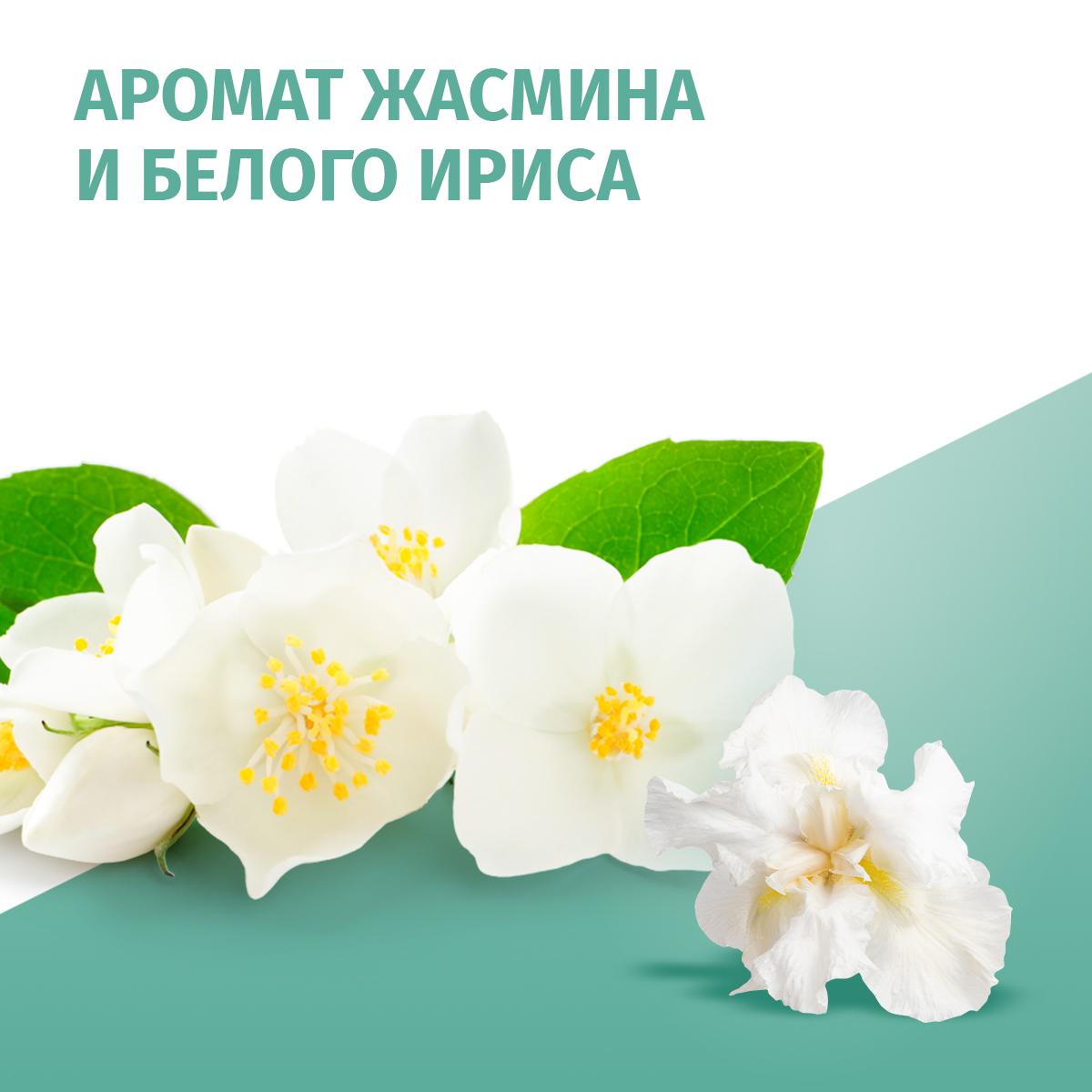 

Дезодорант женский спрей Фа Защита и комфорт Жасмин 150 мл