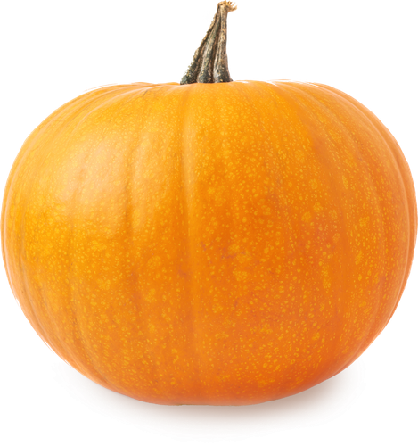 

Тыква оранжевая вес