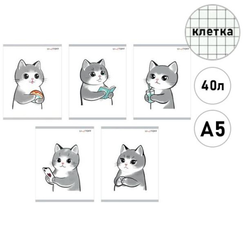 

Тетрадь Listoff А5 День котика 40 л в ассортименте 1 шт