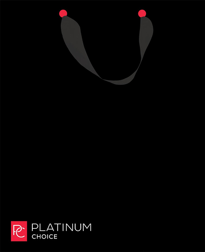 Пакет подарочный Platinum choice, 26х32х15 см