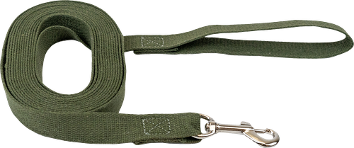 Поводок Paw Wow брезентовый 2.5x500 см