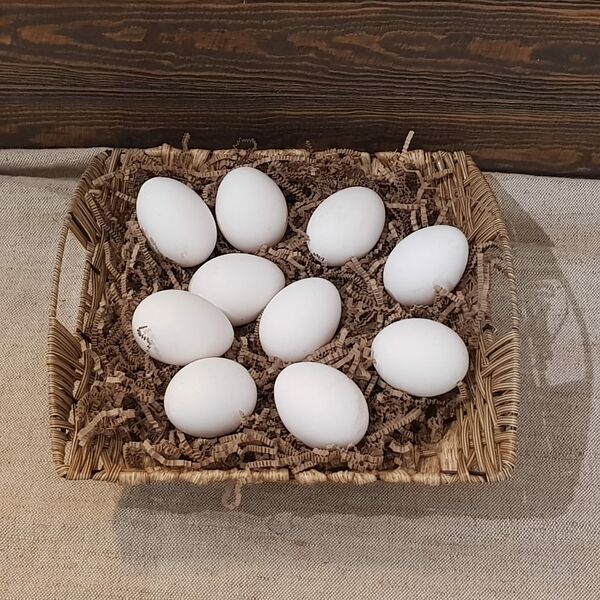 Яйцо белое куриное фермерское 10 шт
