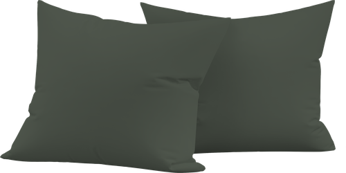

Набор наволочек HOMECLUB 50x70см, сатин, зеленый, 2шт