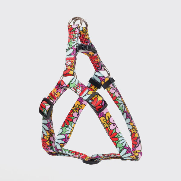 Шлейка Rurri Flower Power 15 мм 45-63 см