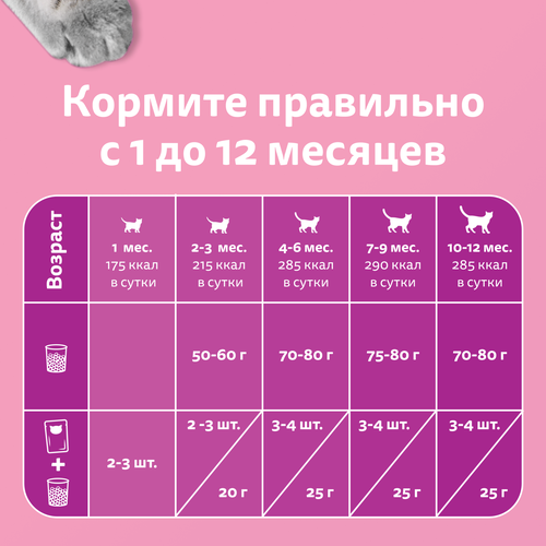 

Сухой корм для котят Whiskas подушечки с молочной начинкой с индейкой и морковью 350 г
