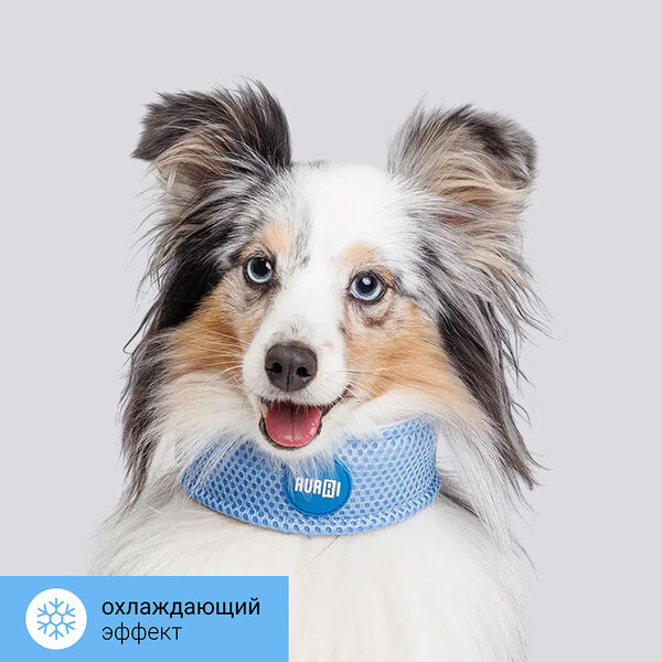 Ошейник охлаждающий для собак и кошек, S, голубой