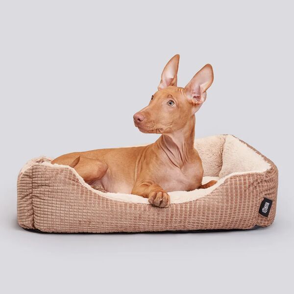 Лежак Rurri для кошек и собак мелких и средних пород 60х50x18 см коричневый